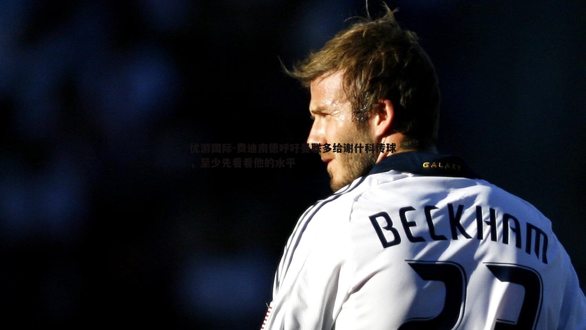 费迪南德呼吁曼联多给谢什科传球,至少先看看他的水平